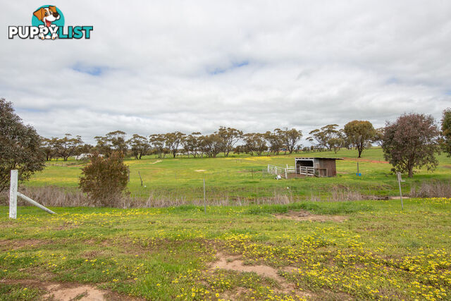 13 Walkey Close Bejoording WA 6566