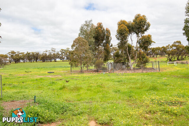 13 Walkey Close Bejoording WA 6566