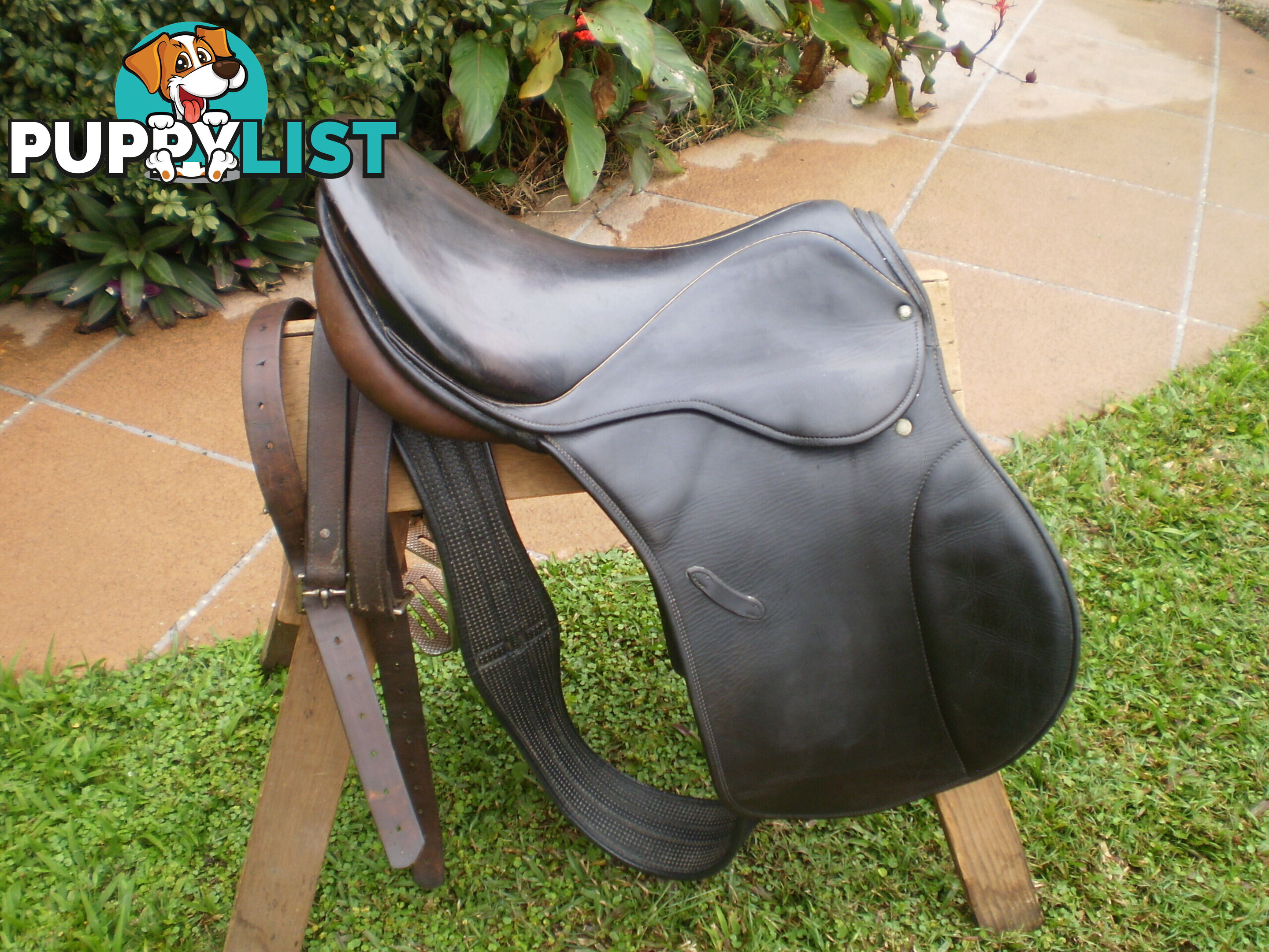 Stubben 16" Saddle