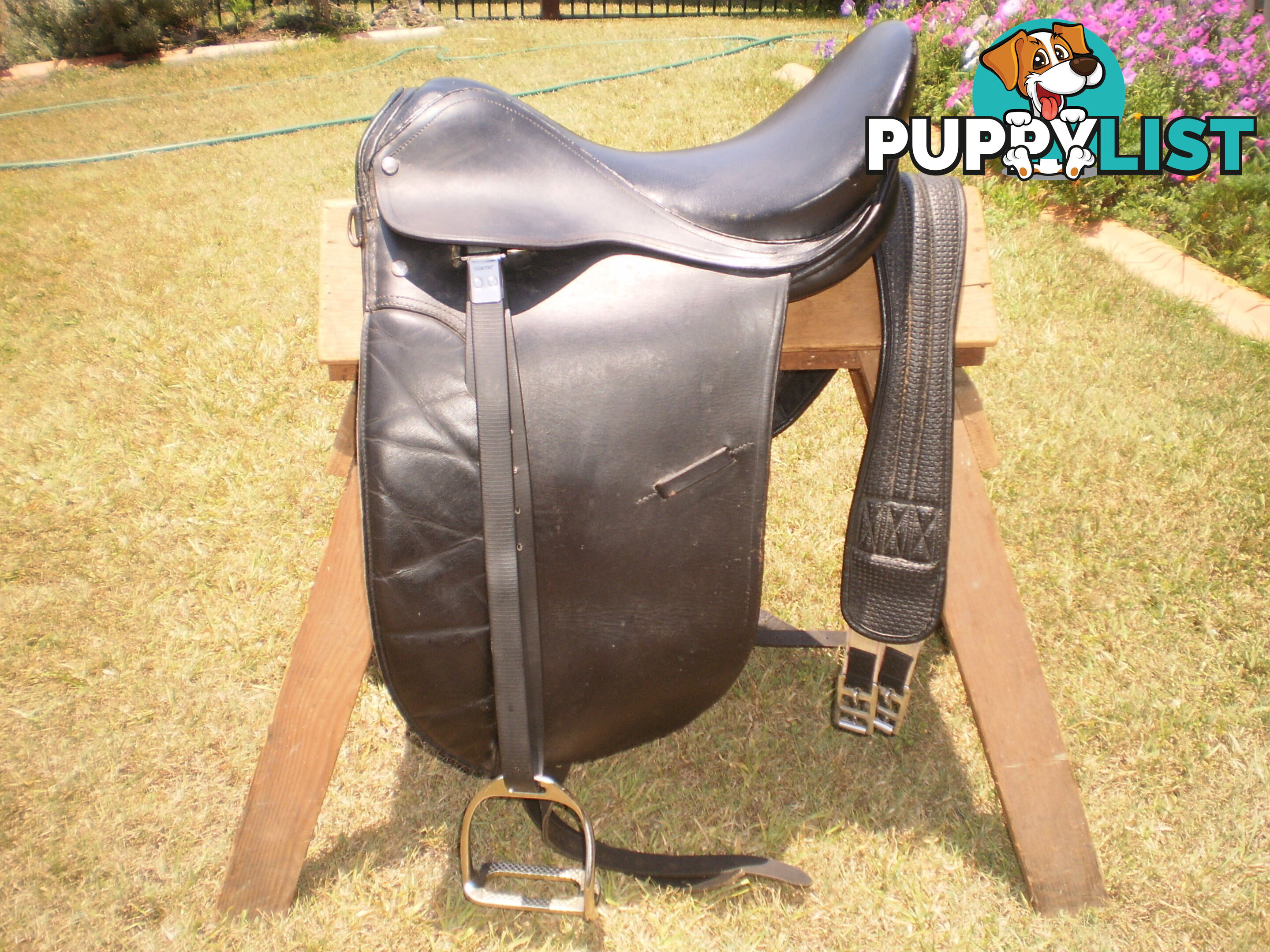 Black Saddle