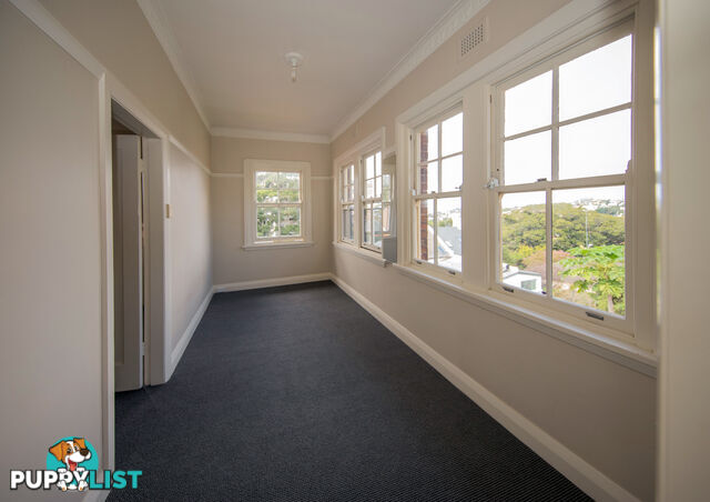 4 26 Rae Street Randwick NSW 2031