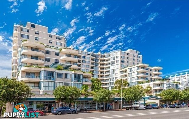 301 116-132 Maroubra Rd Maroubra NSW 2035