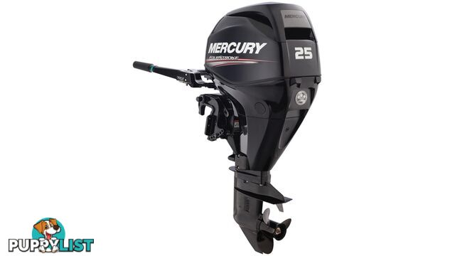 MERCURY 25 MLH EFI