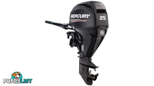 MERCURY 25 MLH EFI