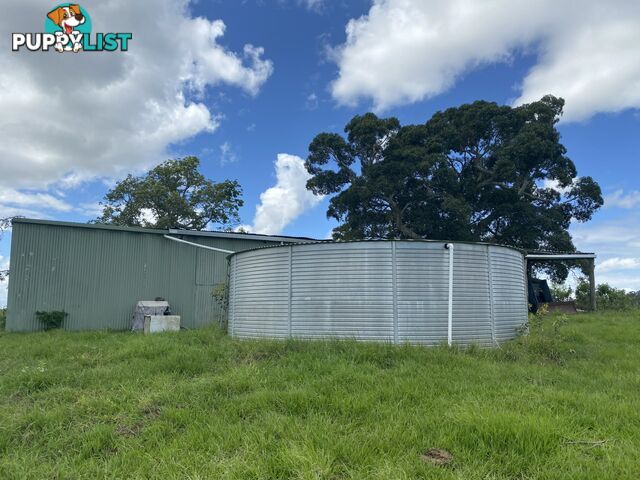 465 Ellangowan Myrtle Creek Road ELLANGOWAN NSW 2470