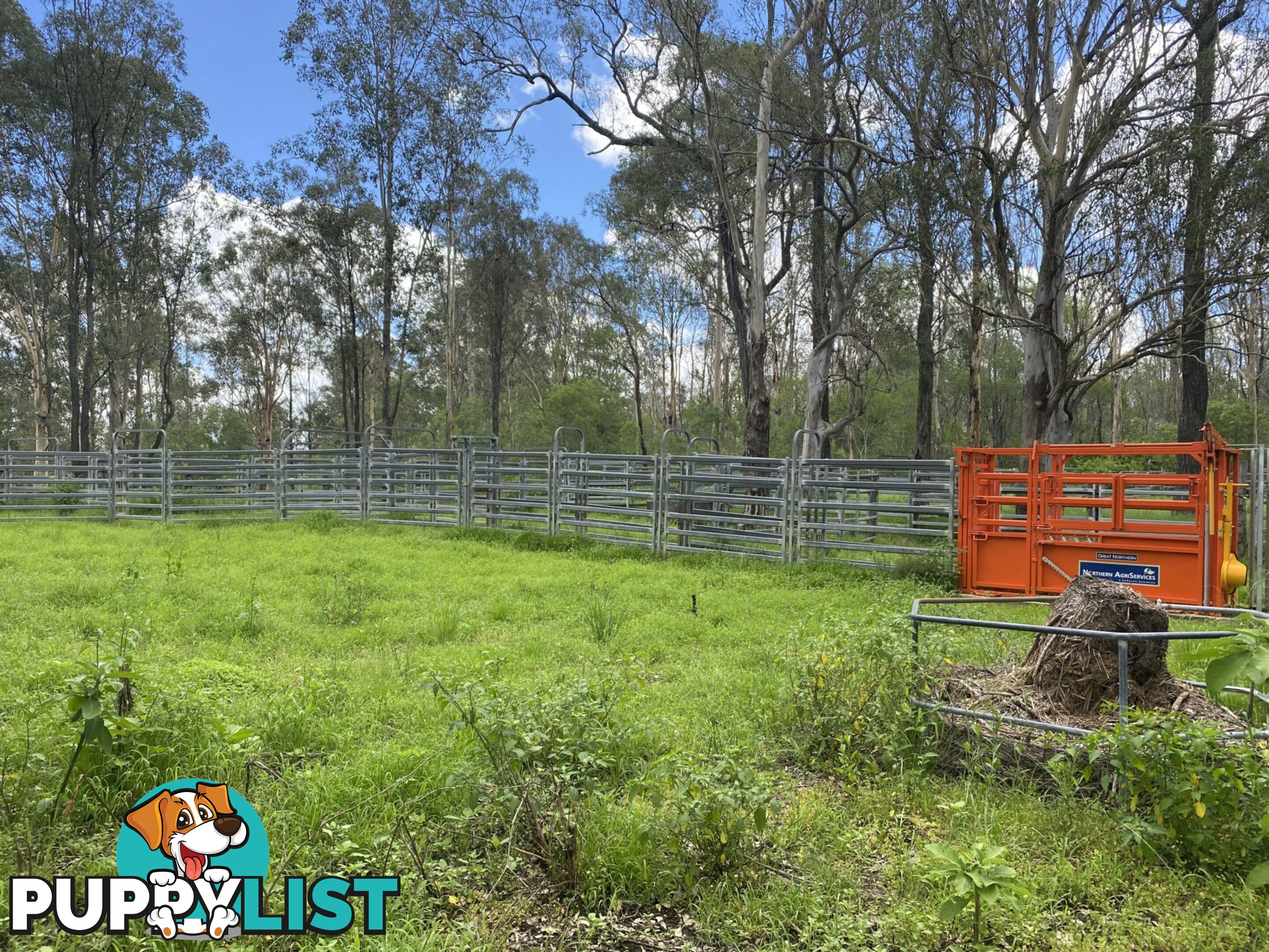 465 Ellangowan Myrtle Creek Road ELLANGOWAN NSW 2470