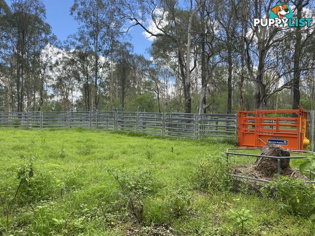 465 Ellangowan Myrtle Creek Road ELLANGOWAN NSW 2470