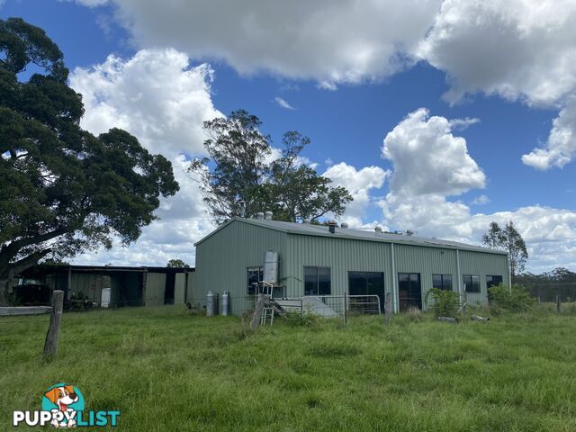 465 Ellangowan Myrtle Creek Road ELLANGOWAN NSW 2470