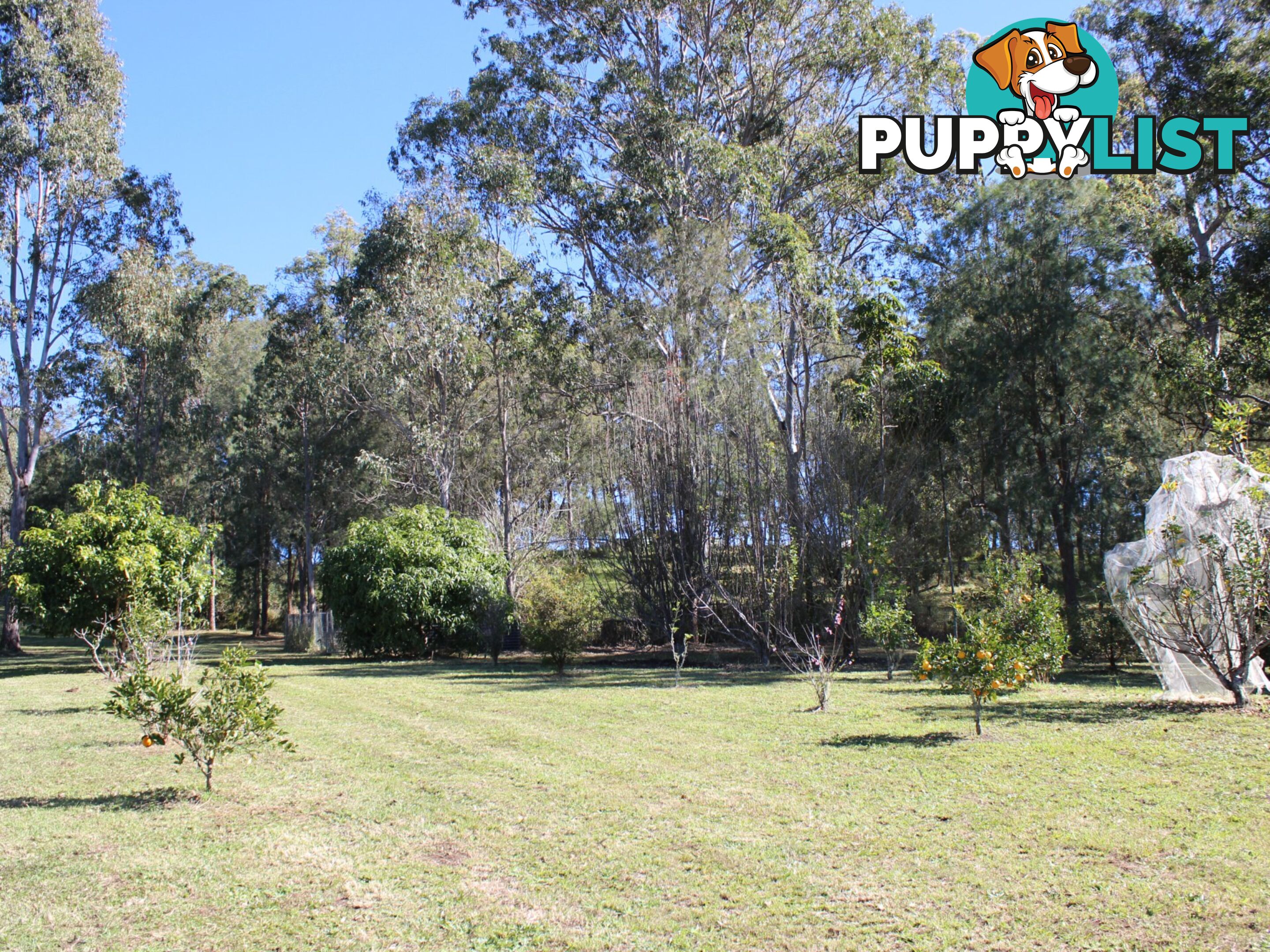 419 Dunns Road DOUBTFUL CREEK NSW 2470