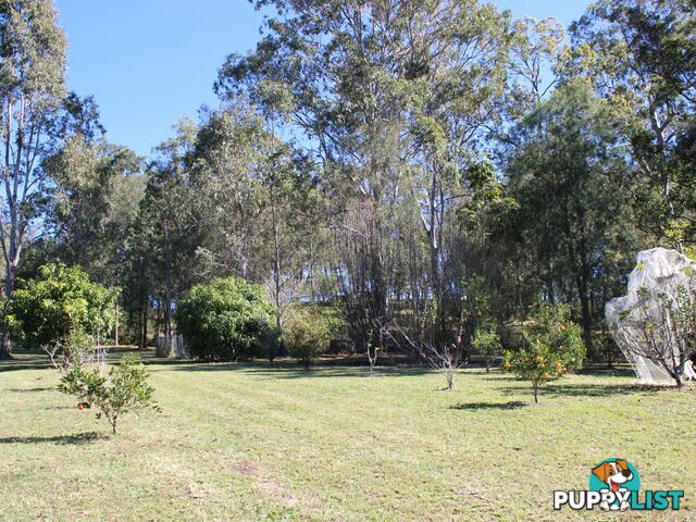 419 Dunns Road DOUBTFUL CREEK NSW 2470