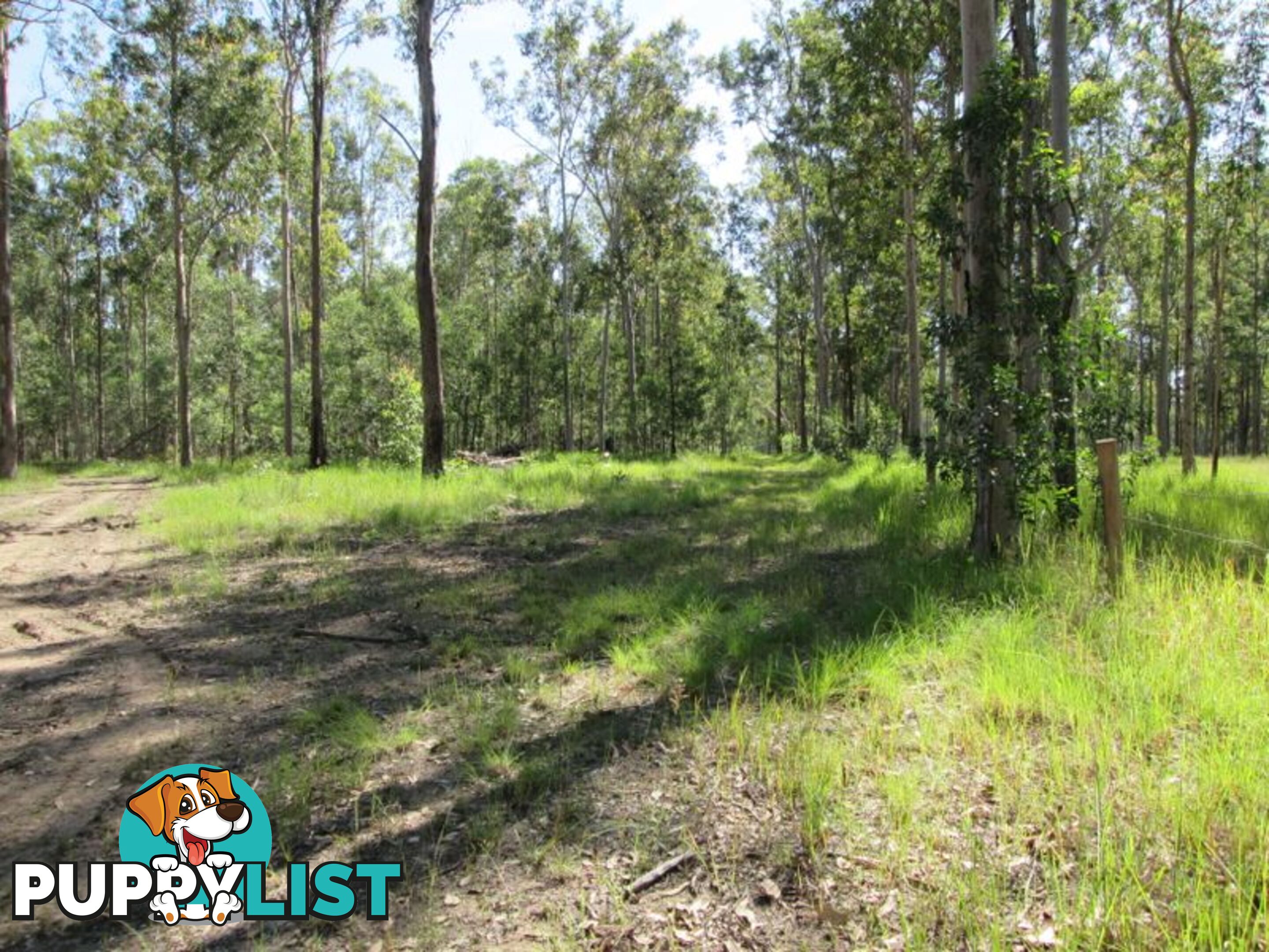 Lot 2 Old Wyan Road RAPPVILLE NSW 2469