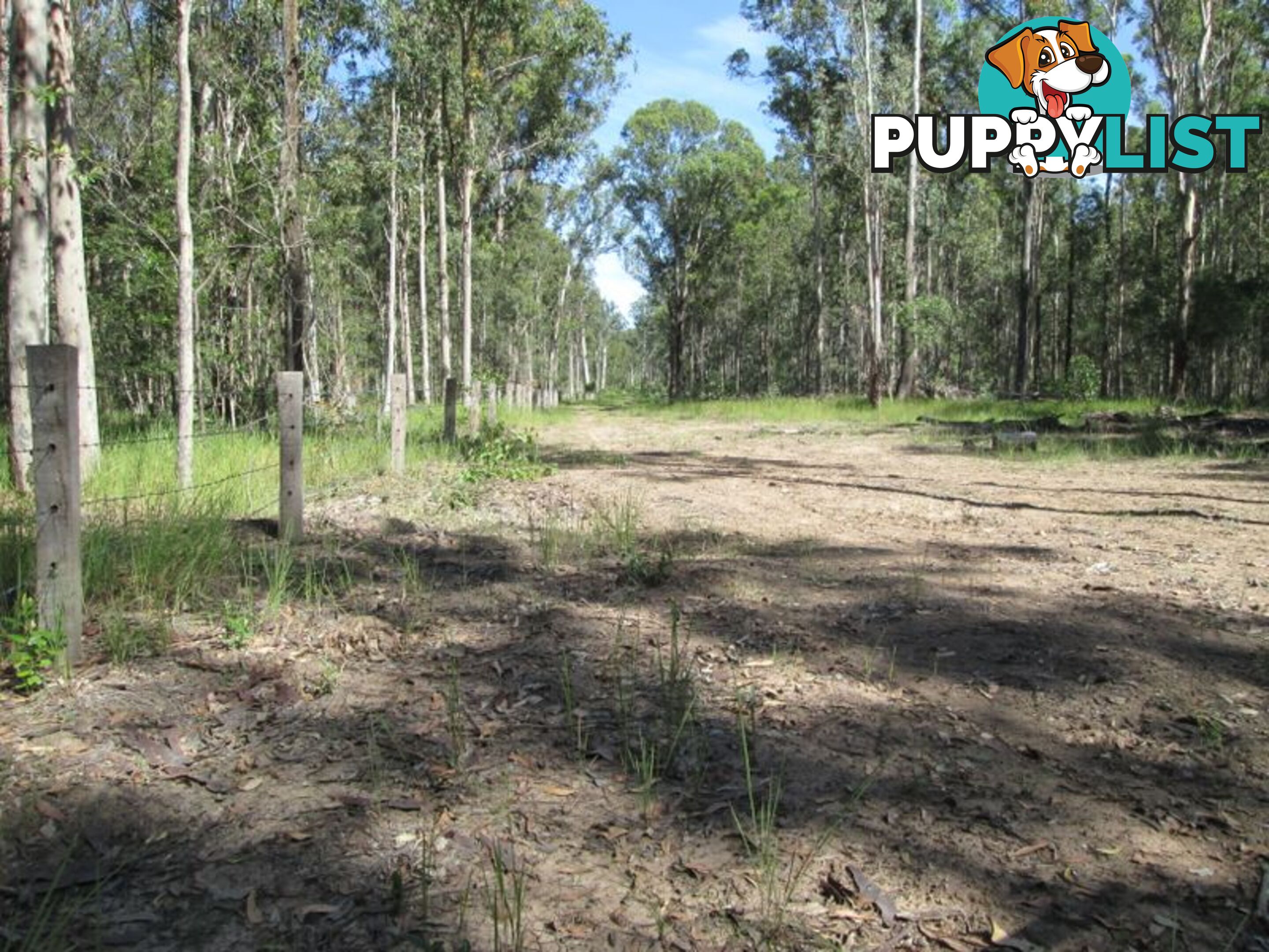 Lot 2 Old Wyan Road RAPPVILLE NSW 2469