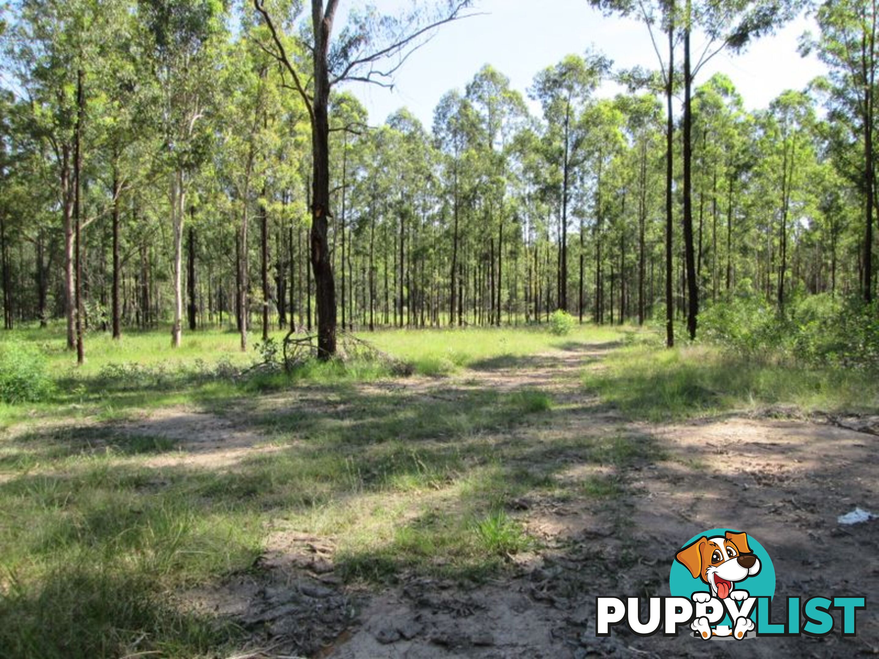 Lot 2 Old Wyan Road RAPPVILLE NSW 2469