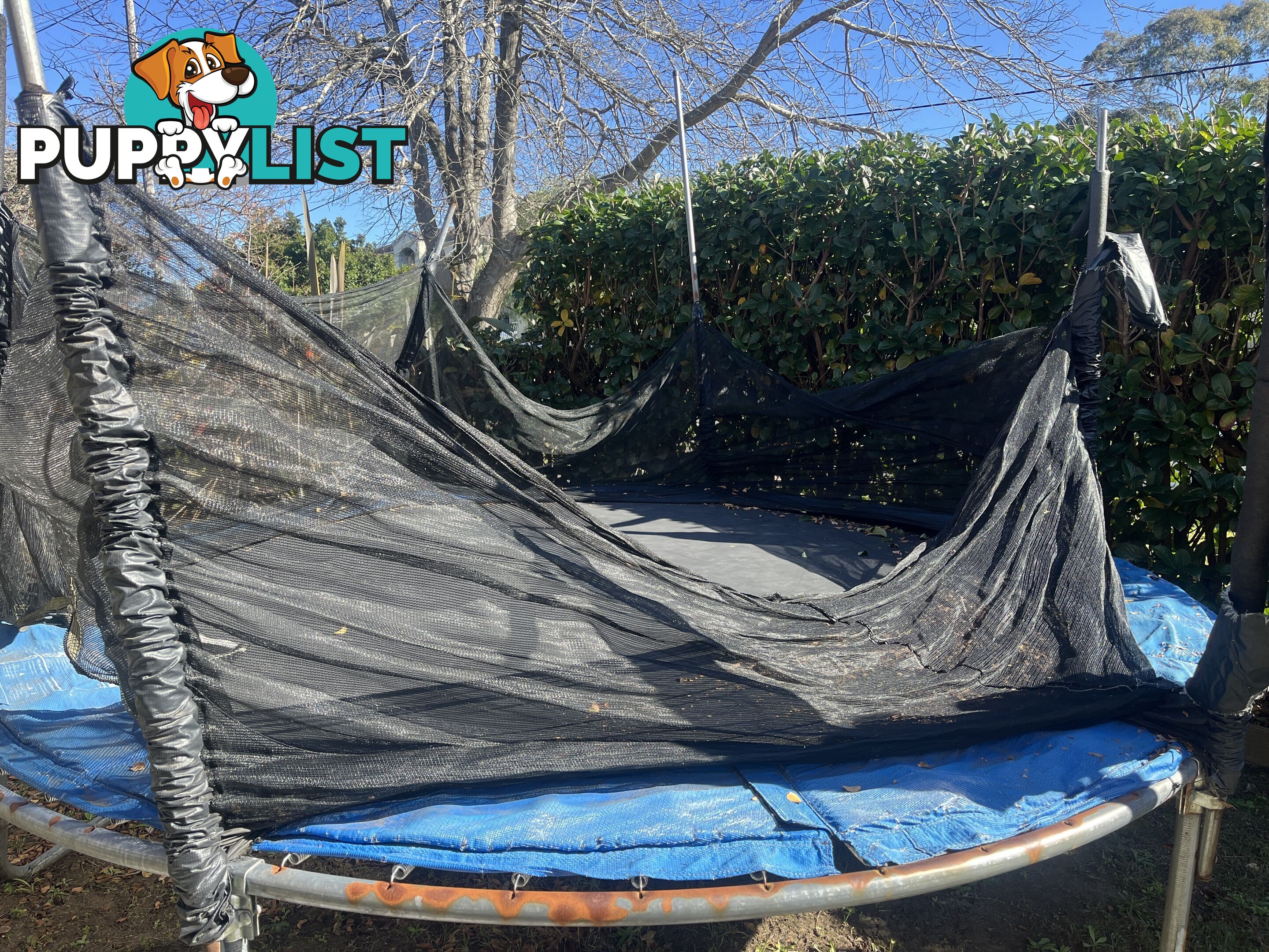 Free Large Trampoline- needs TLC