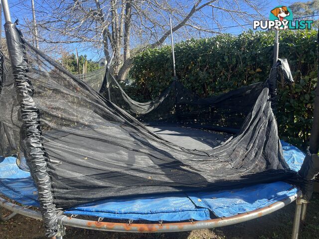 Free Large Trampoline- needs TLC