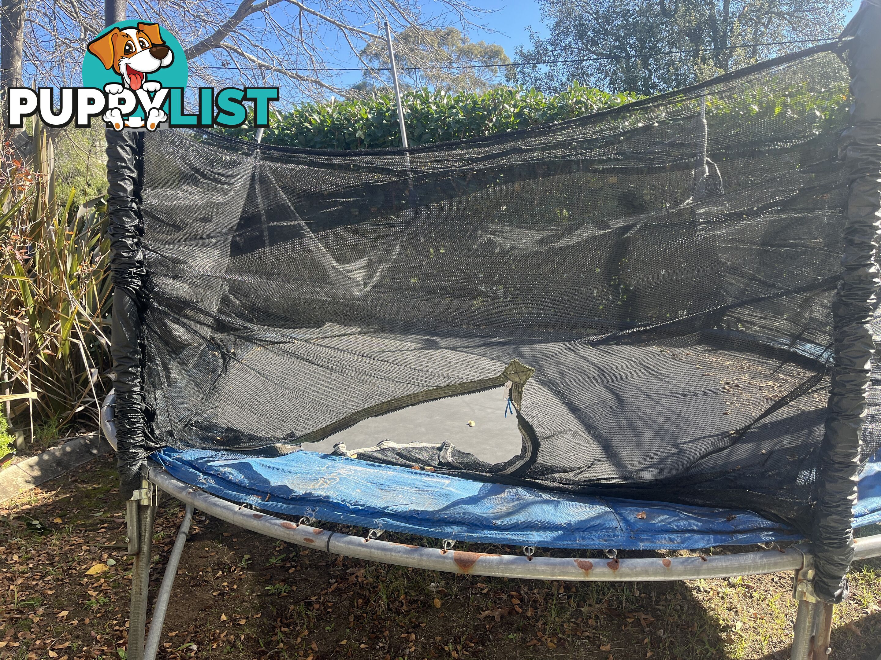 Free Large Trampoline- needs TLC