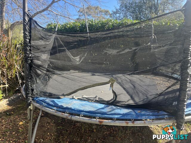Free Large Trampoline- needs TLC