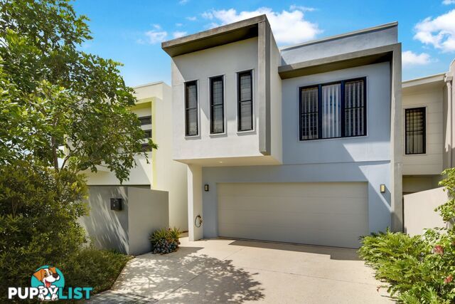 6 Karumba Pl Maroochydore QLD 4558