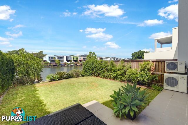 6 Karumba Pl Maroochydore QLD 4558