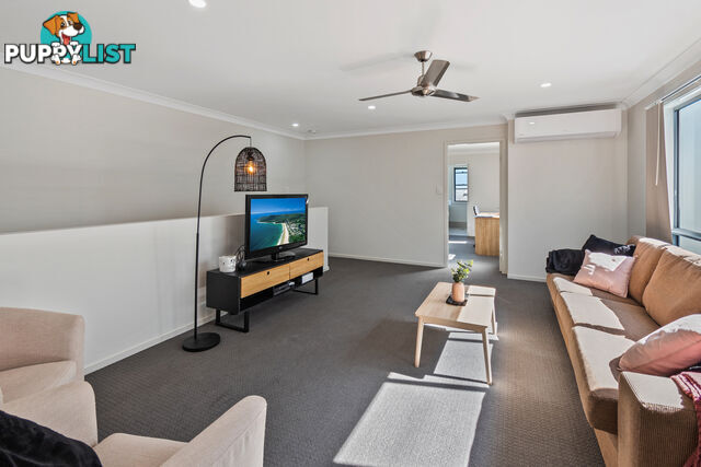 21 Flinders Lane Maroochydore QLD 4558