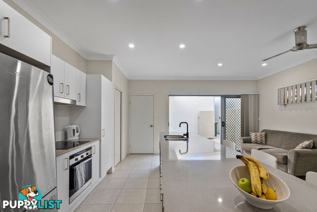 21 Flinders Lane Maroochydore QLD 4558