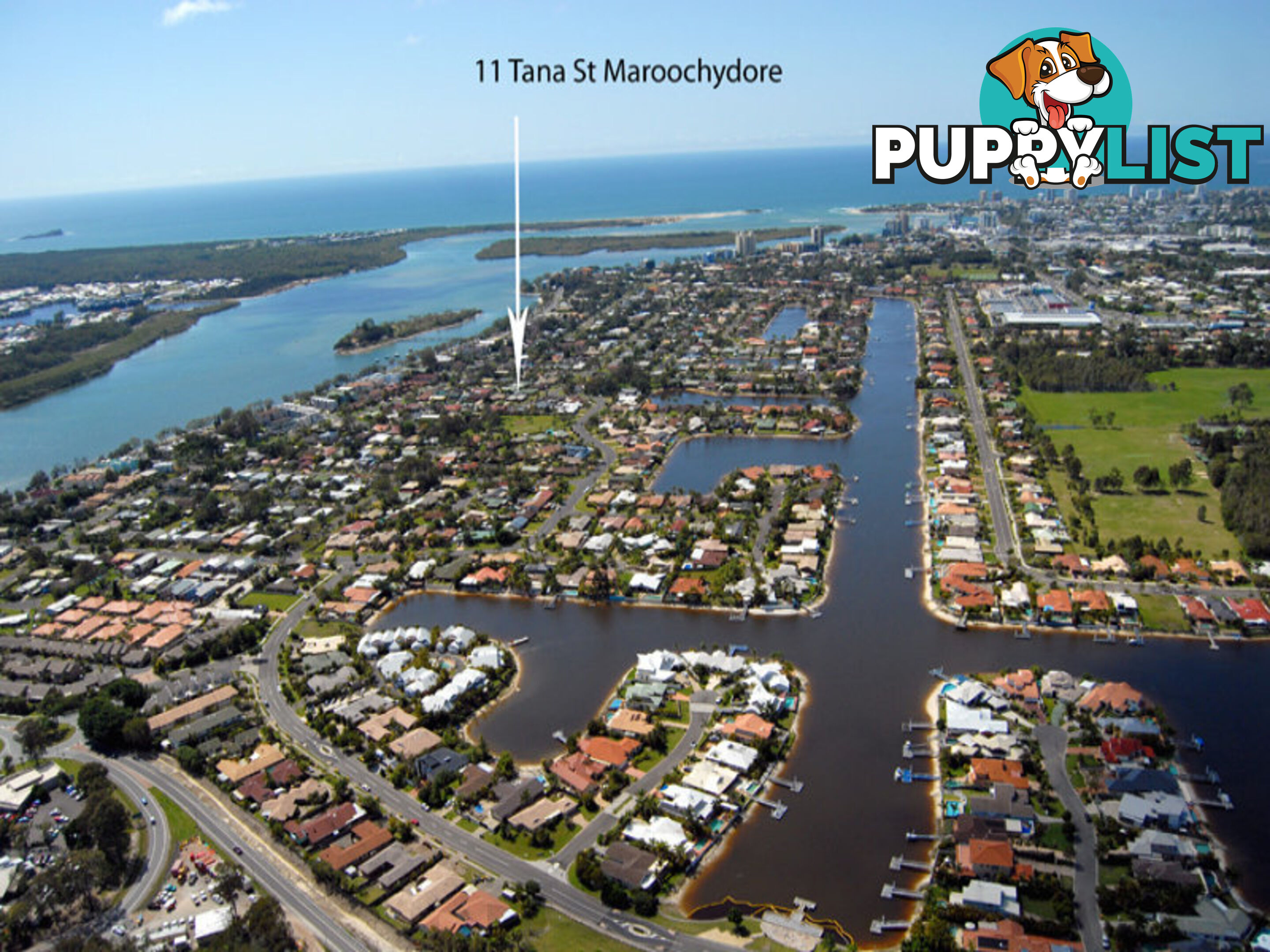 11 Tana Street Maroochydore QLD 4558