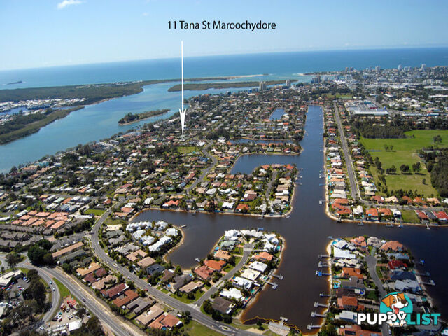 11 Tana Street Maroochydore QLD 4558