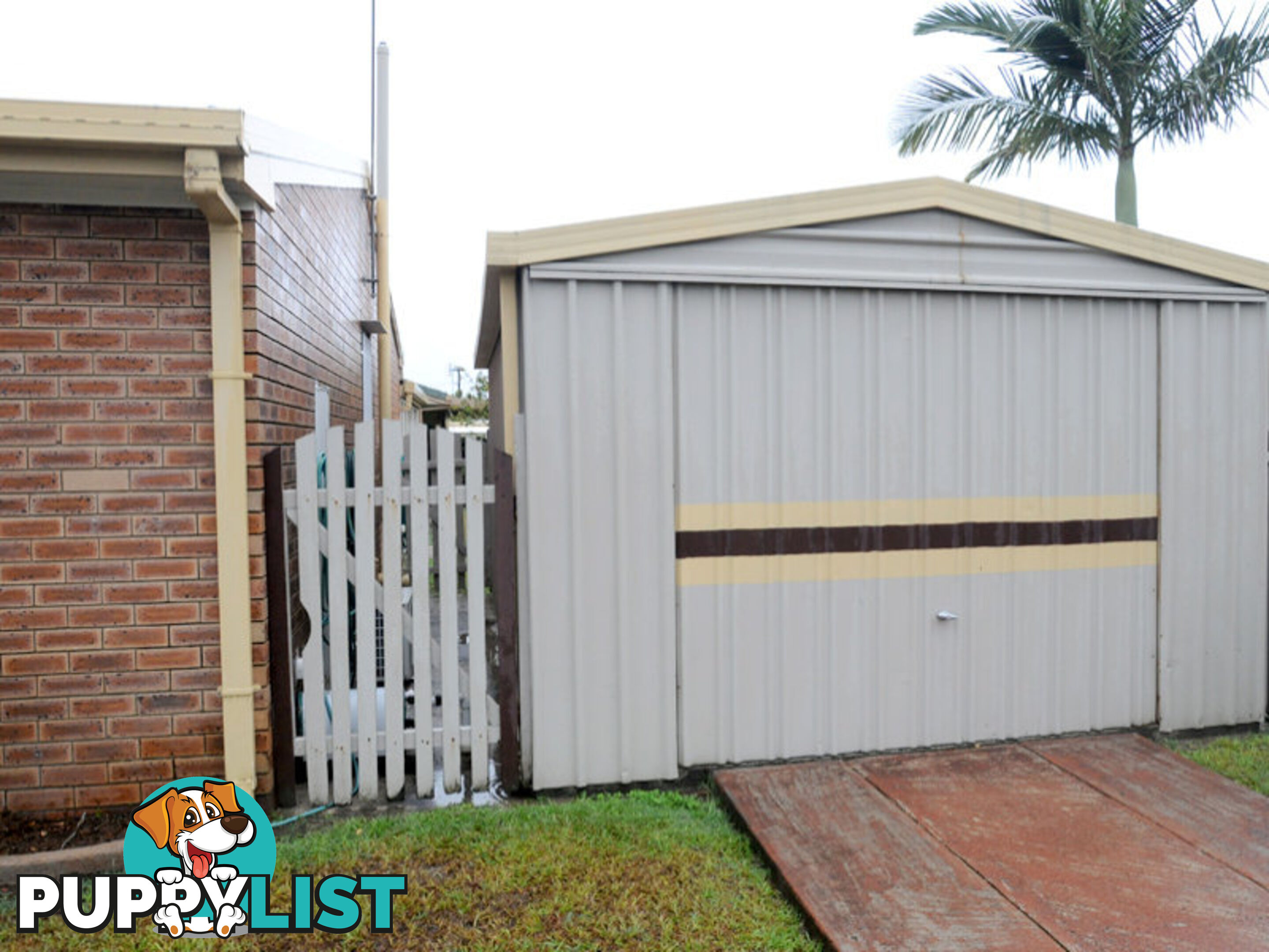 11 Tana Street Maroochydore QLD 4558