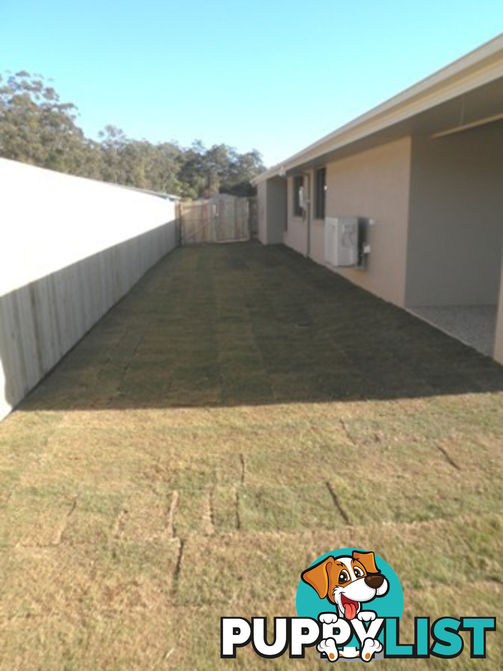 9 Brush Box Ct Beerwah QLD 4519