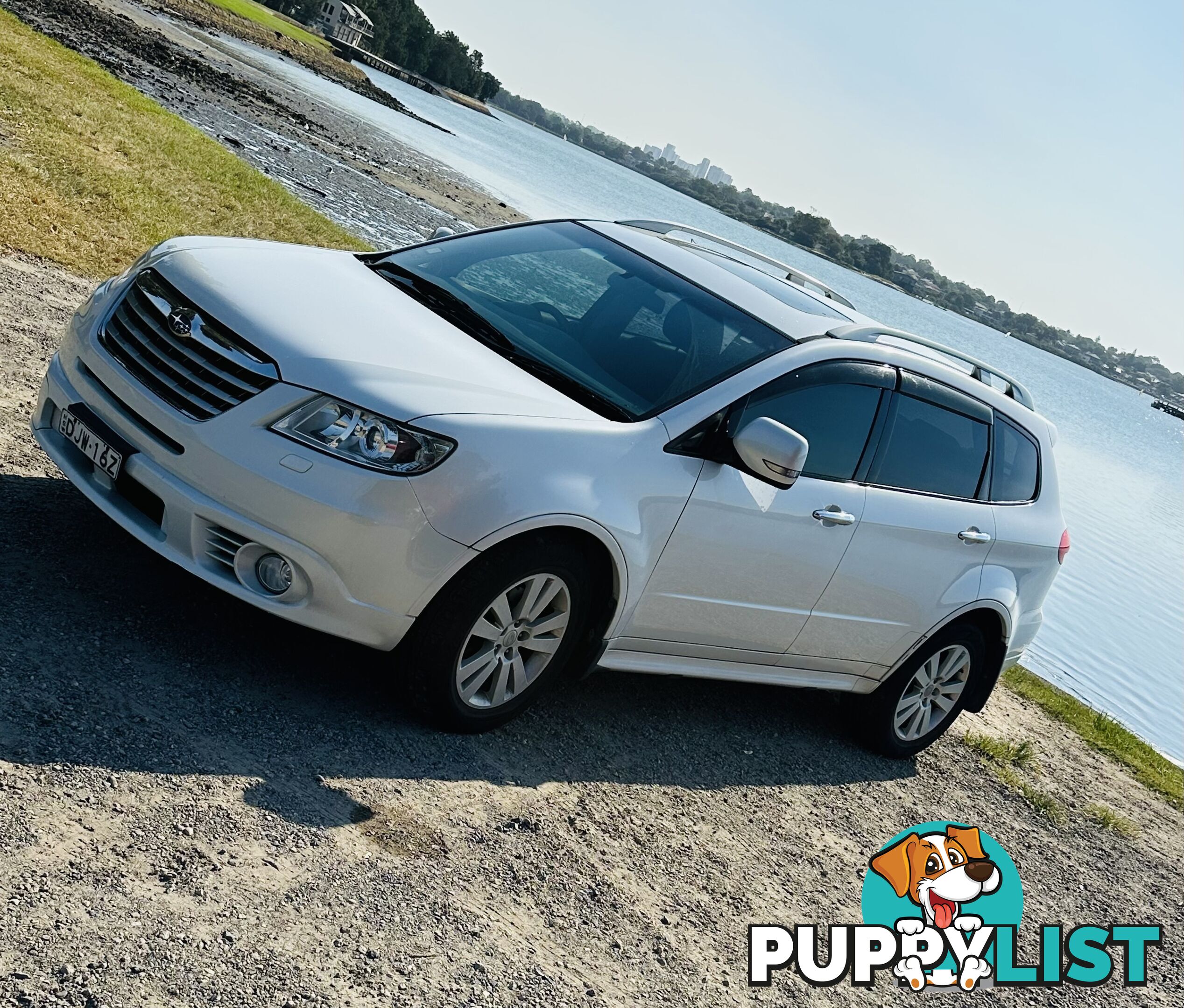 2011 Subaru Tribeca MY11 SUV Automatic