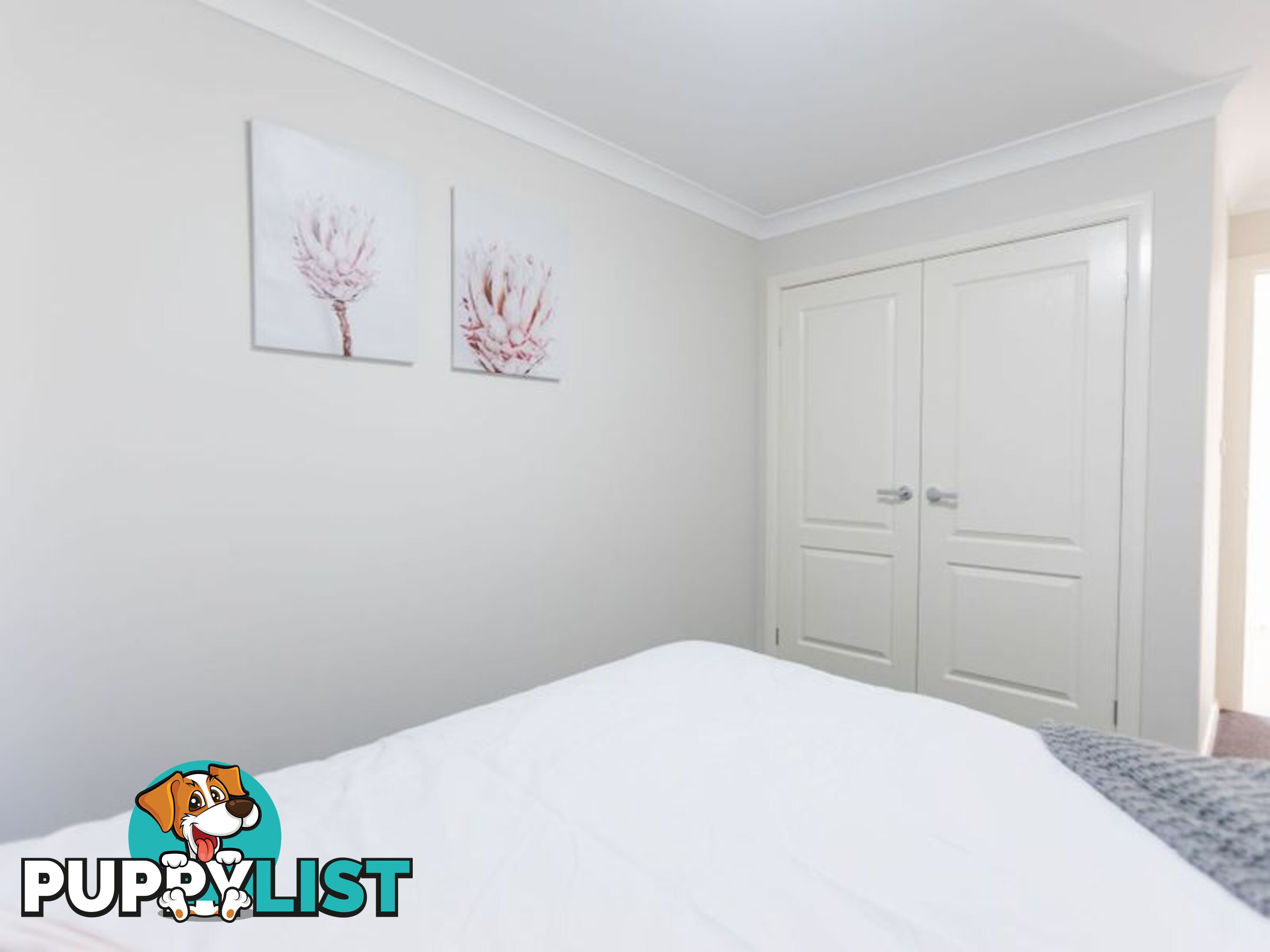 2 Tallowwood Drive GUNNEDAH NSW 2380