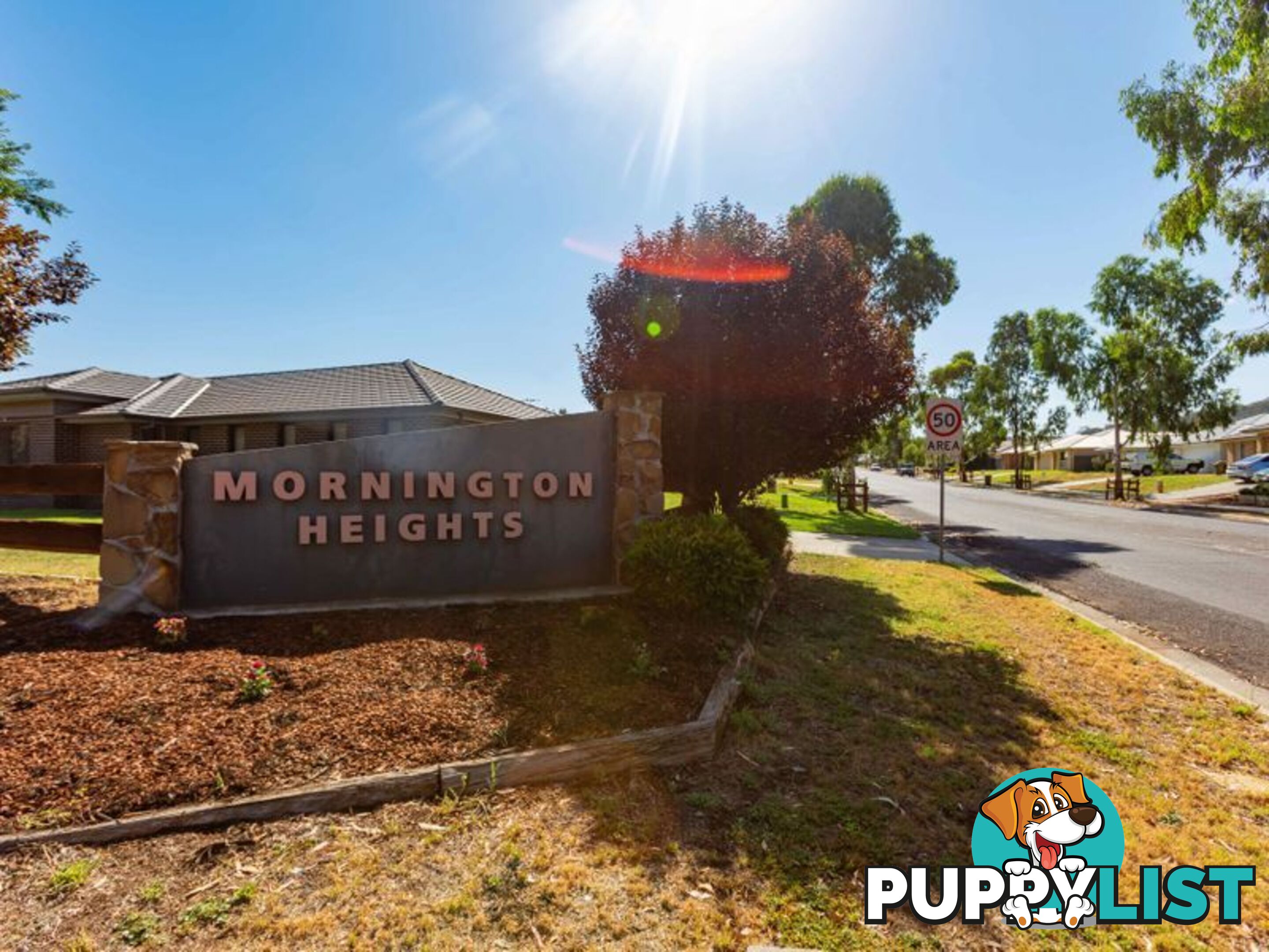 2 Tallowwood Drive GUNNEDAH NSW 2380
