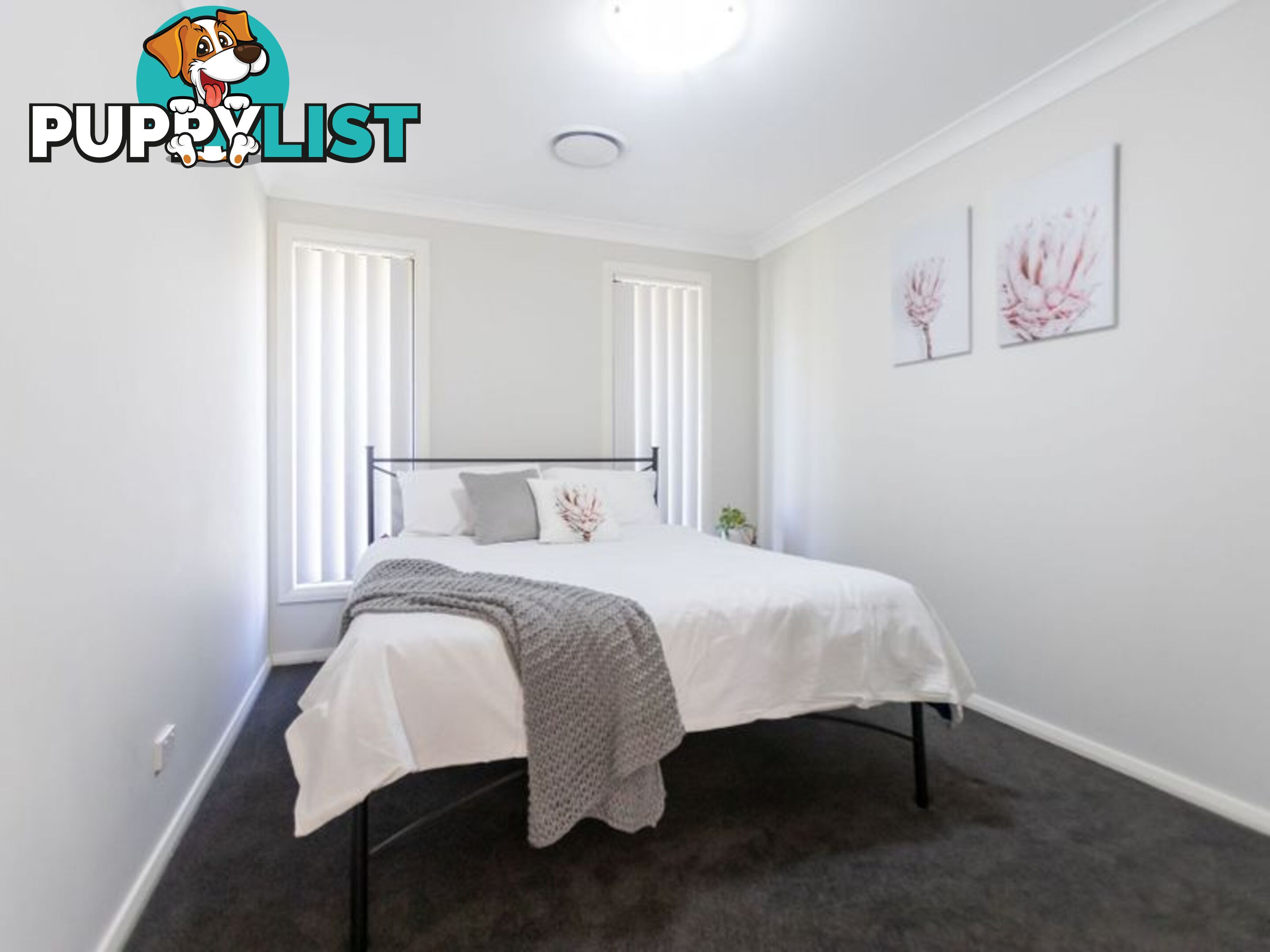 2 Tallowwood Drive GUNNEDAH NSW 2380