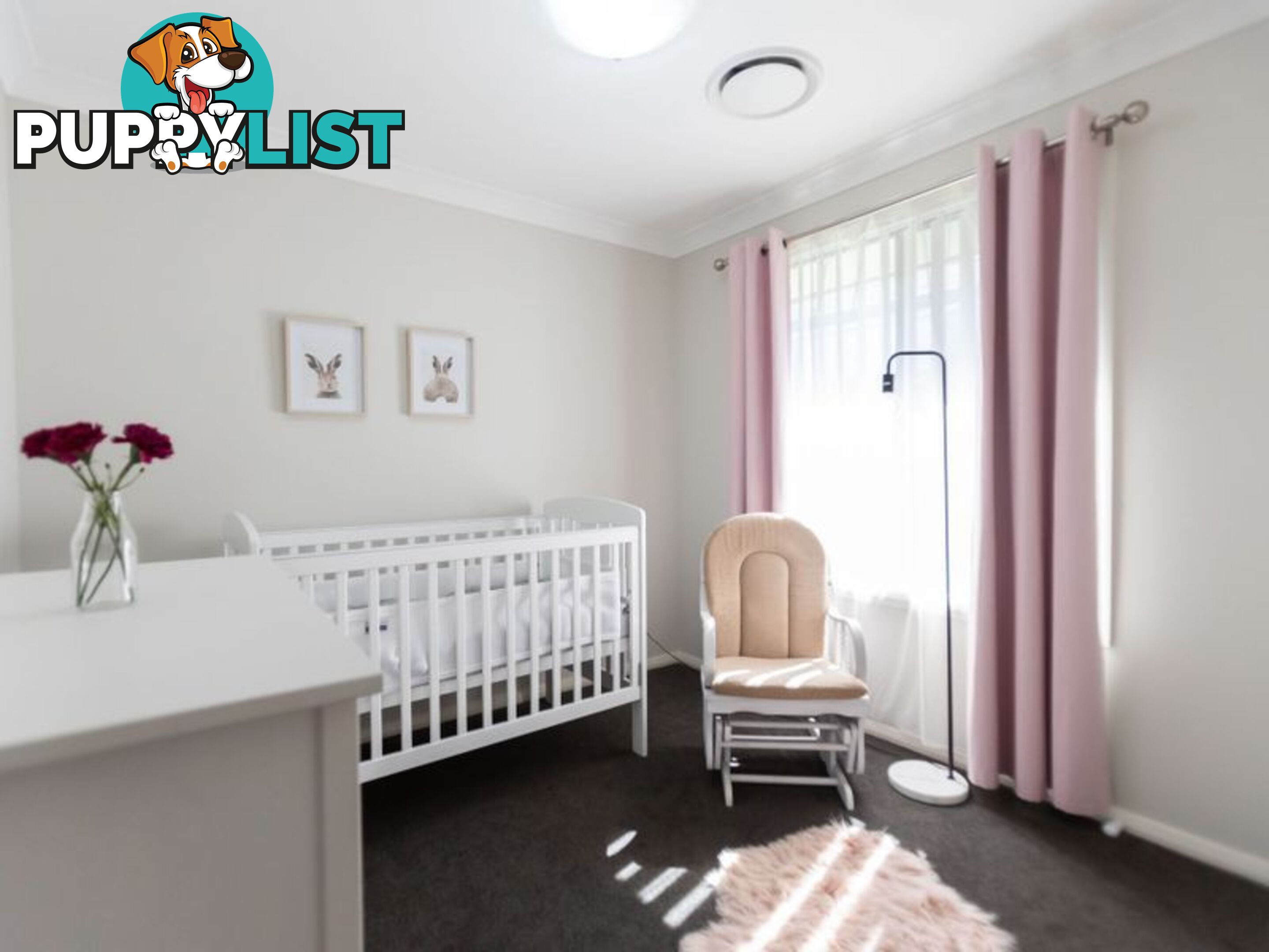 2 Tallowwood Drive GUNNEDAH NSW 2380