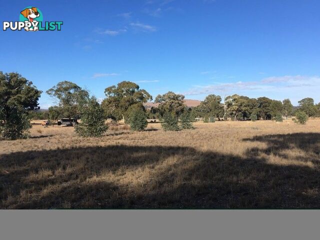 Lot 1 Lennons Lane LANDSBOROUGH VIC 3384