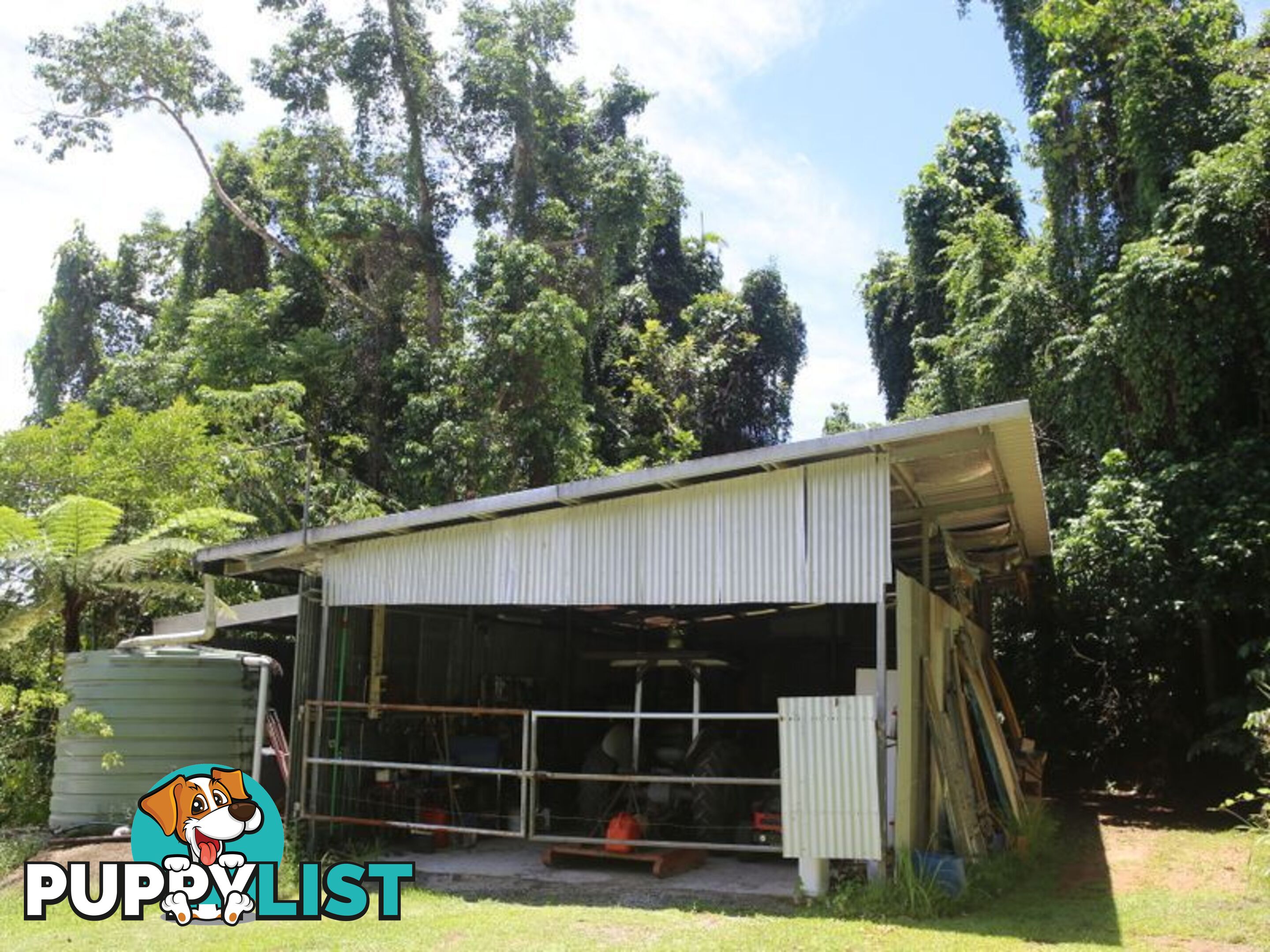 1150 Bramston Beach Road BRAMSTON BEACH QLD 4871