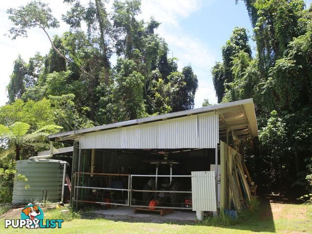 1150 Bramston Beach Road BRAMSTON BEACH QLD 4871