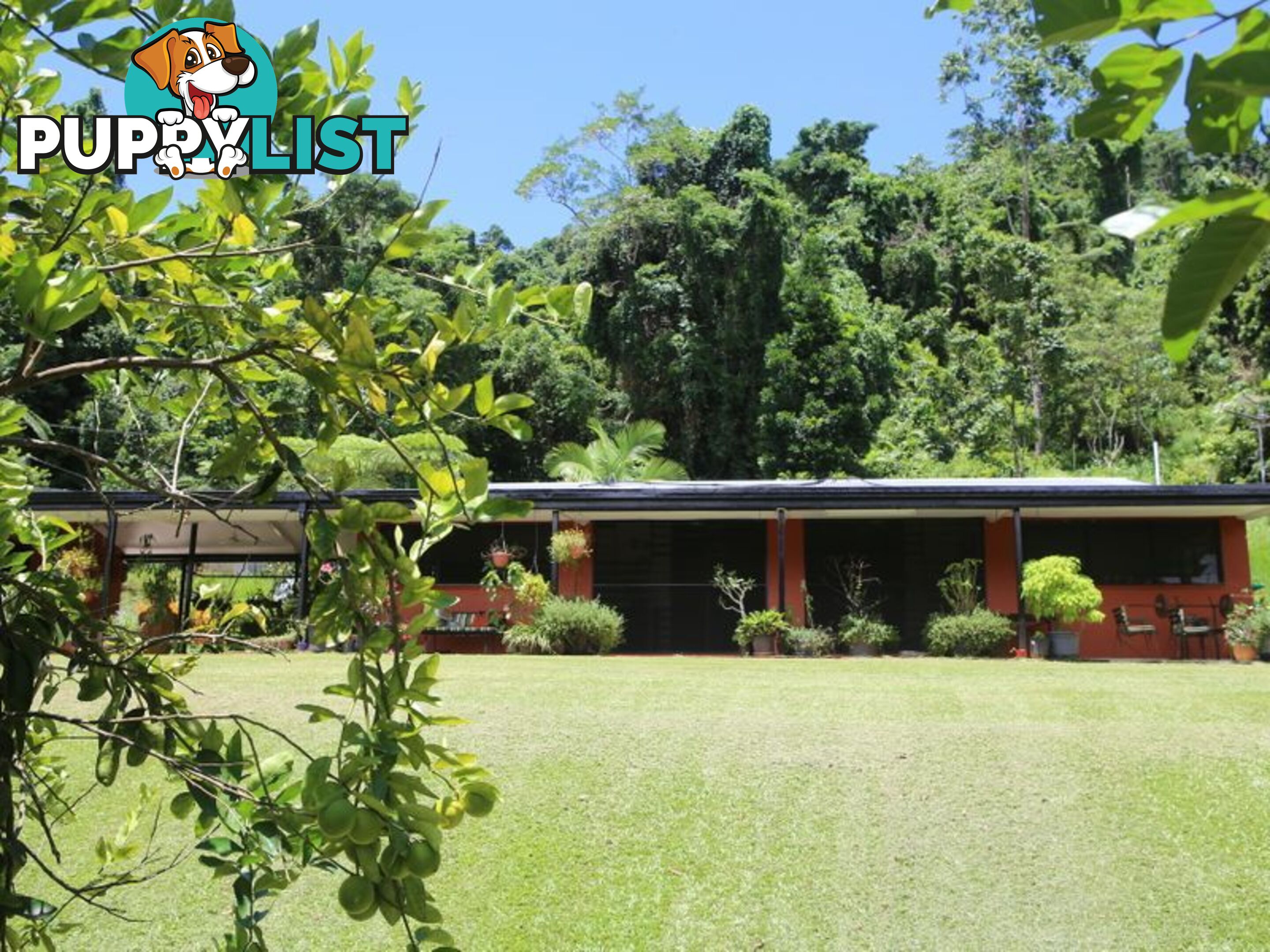 1150 Bramston Beach Road BRAMSTON BEACH QLD 4871