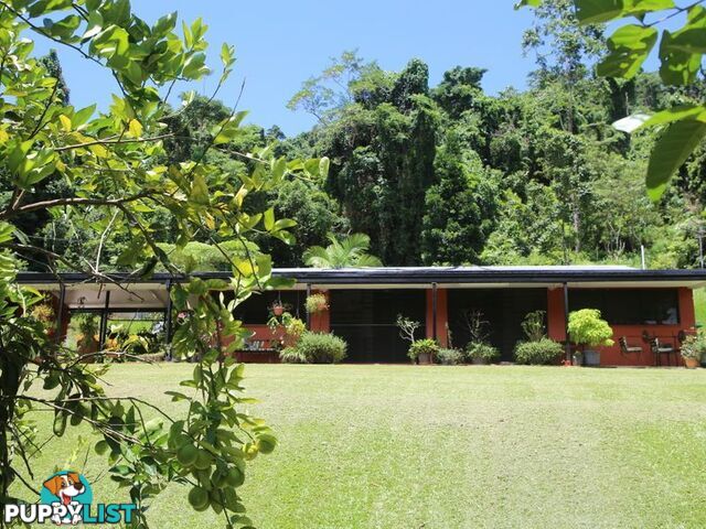 1150 Bramston Beach Road BRAMSTON BEACH QLD 4871