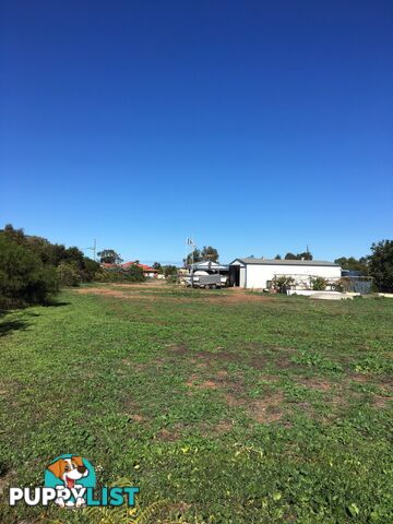 3 Manning Place GERALDTON WA 6530