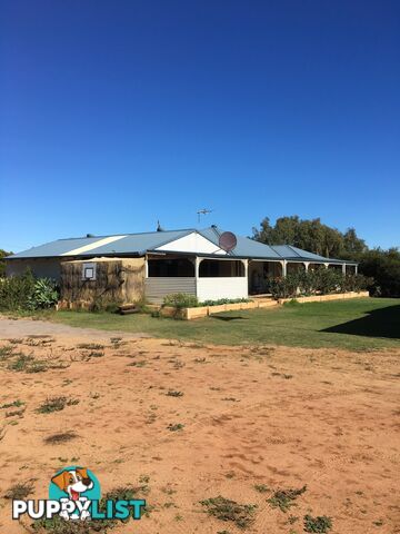 3 Manning Place GERALDTON WA 6530