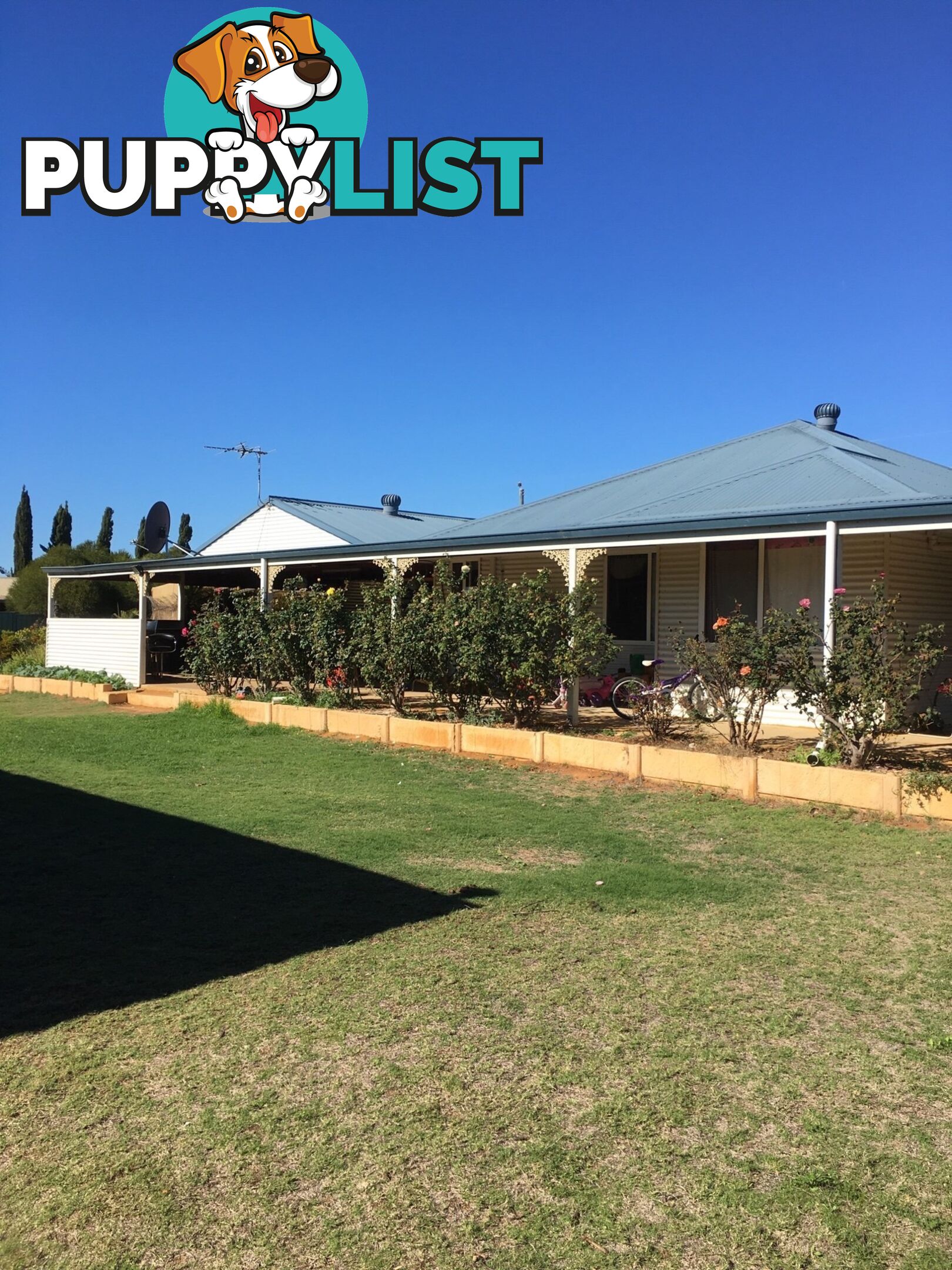 3 Manning Place GERALDTON WA 6530