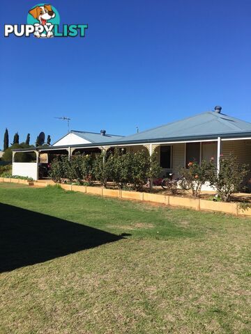 3 Manning Place GERALDTON WA 6530