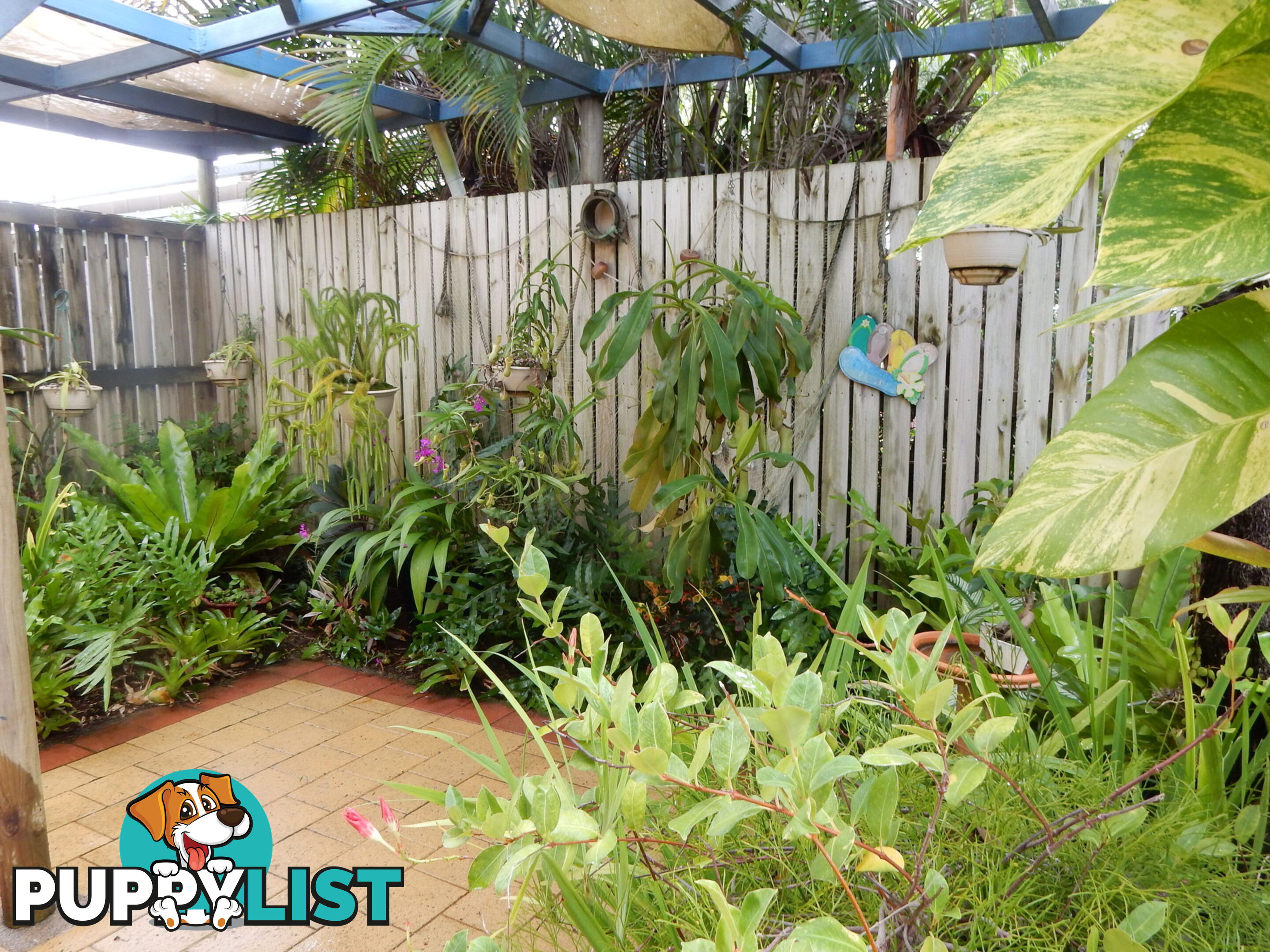 51 Wattle Street FORREST BEACH QLD 4850