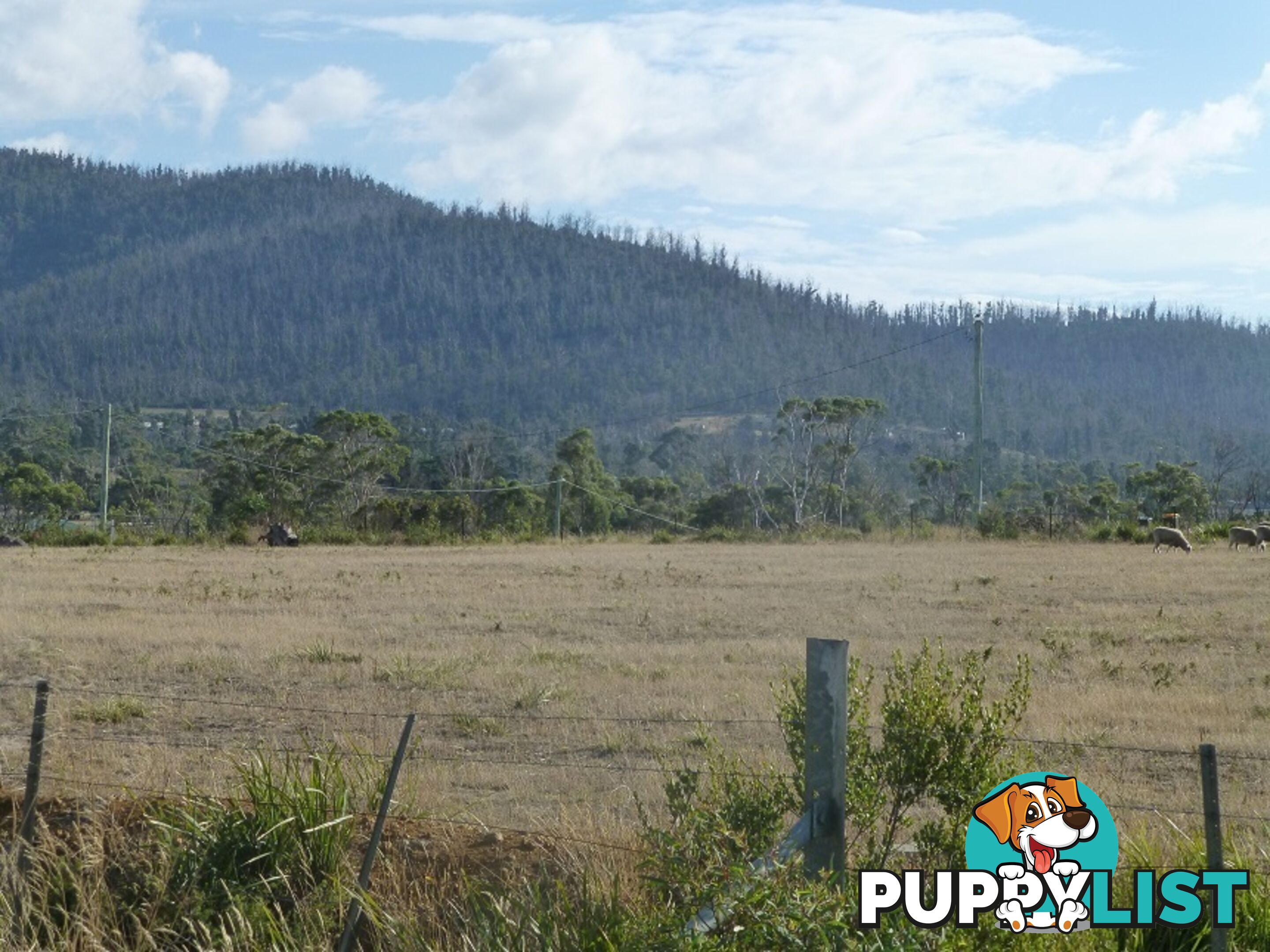 209-221 Arthur Highway DUNALLEY TAS 7177