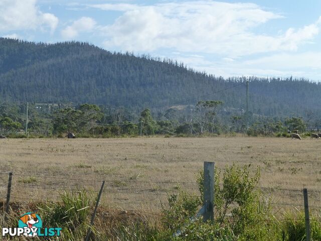 209-221 Arthur Highway DUNALLEY TAS 7177