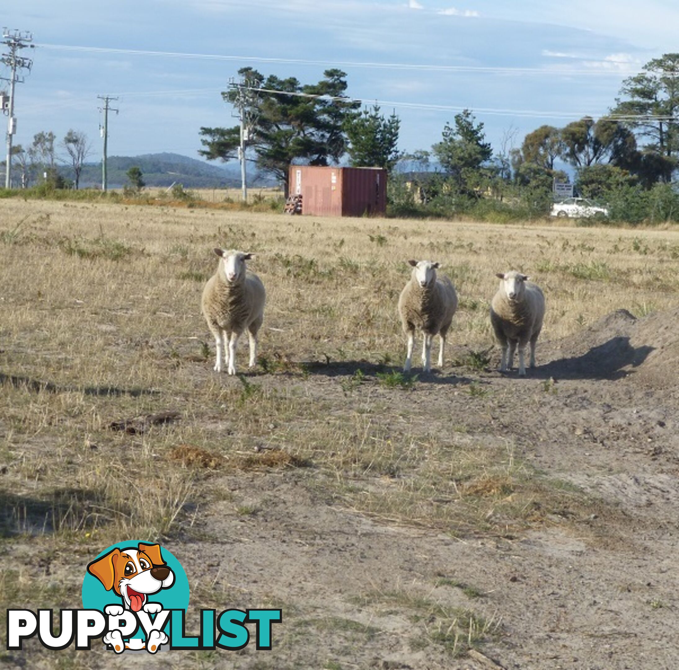 209-221 Arthur Highway DUNALLEY TAS 7177