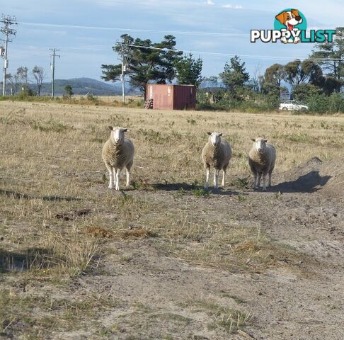 209-221 Arthur Highway DUNALLEY TAS 7177