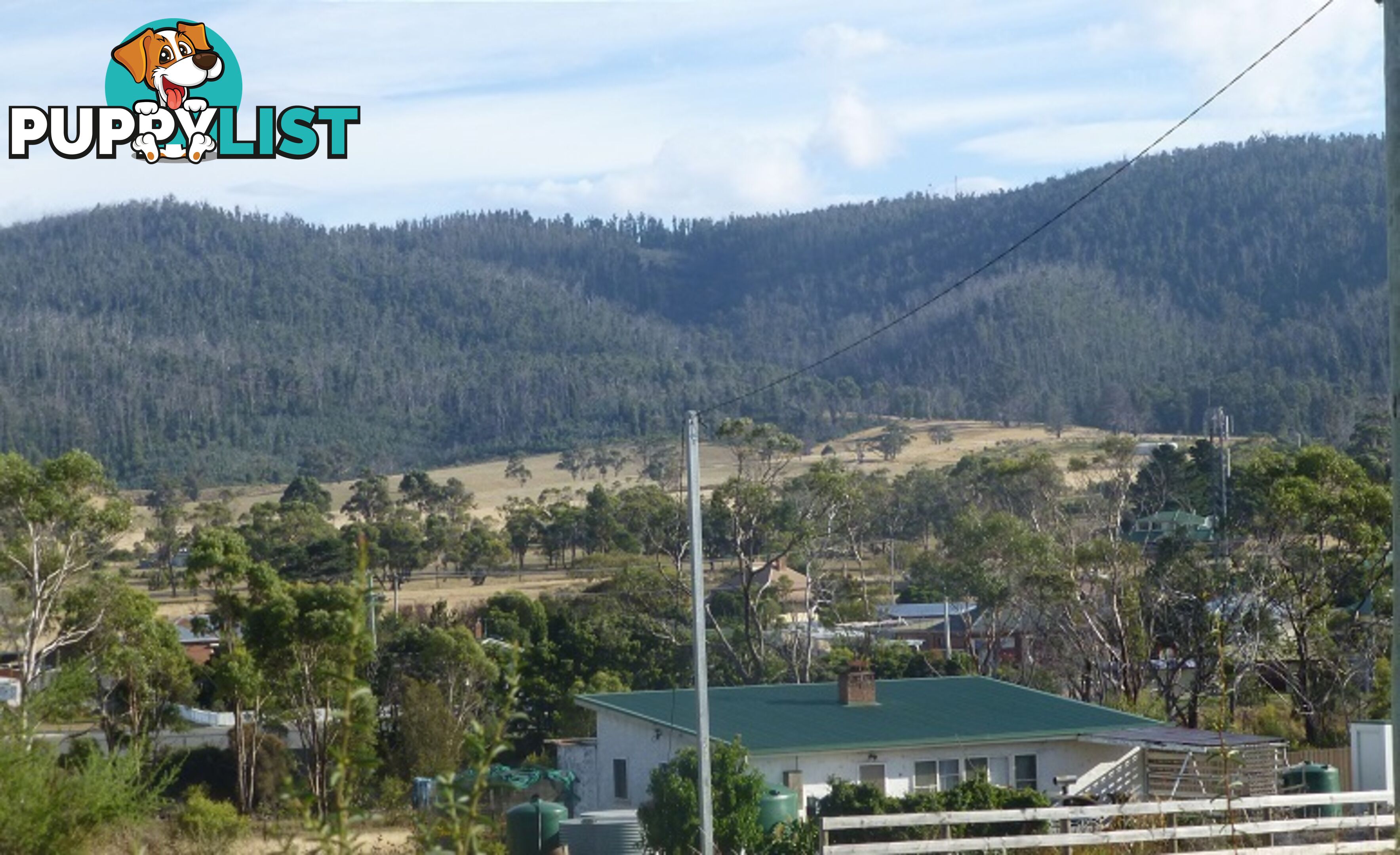 209-221 Arthur Highway DUNALLEY TAS 7177