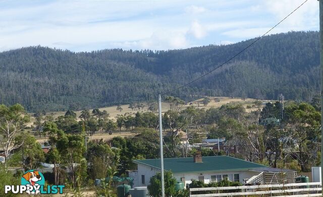 209-221 Arthur Highway DUNALLEY TAS 7177